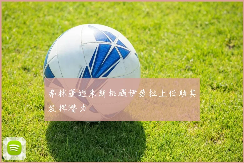 弗林蓬迎来新机遇伊劳拉上任助其发挥潜力